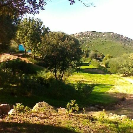 Farm Stay Gli Oleandri Loiri Porto San Paolo Exterior photo