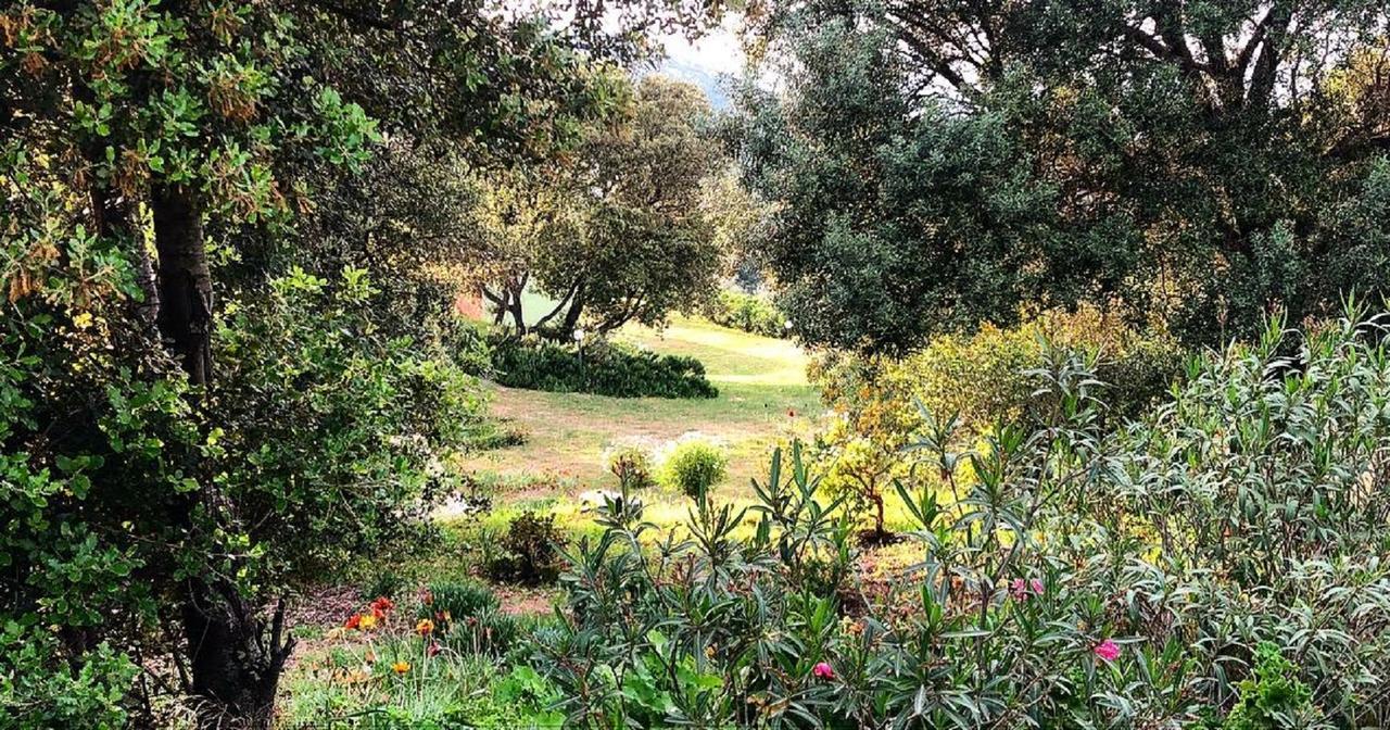 Farm Stay Gli Oleandri Loiri Porto San Paolo Exterior photo