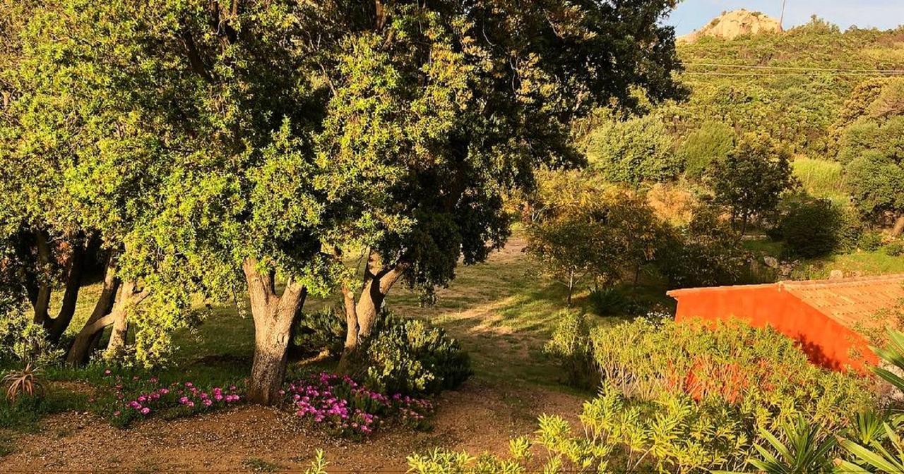 Farm Stay Gli Oleandri Loiri Porto San Paolo Exterior photo